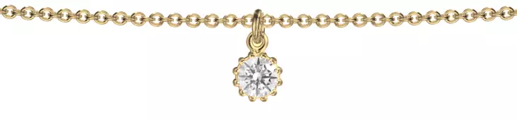 Lempikoru Nuppu - nilkkaketju - Lempikoru Nuppu - 5007701250 - 1